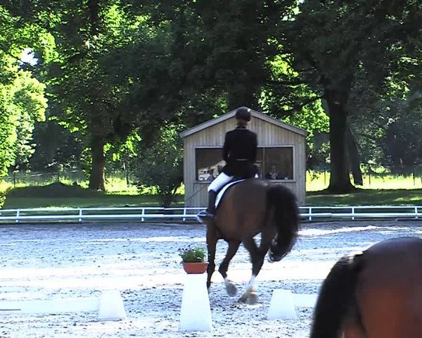 Reitturnier Redefin 2015