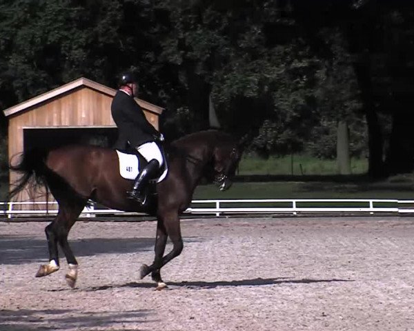 Reitturnier Redefin 2015