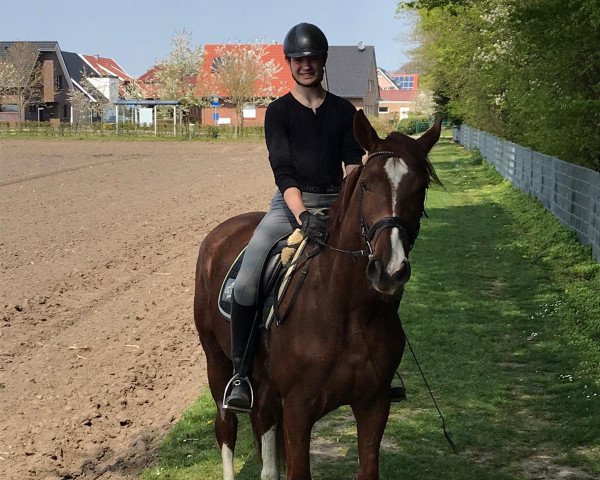 broodmare Fillipa (Westphalian, 2016, from Fouquet)