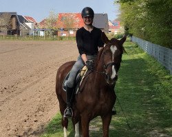Zuchtstute Fillipa (Westfale, 2016, von Fouquet)