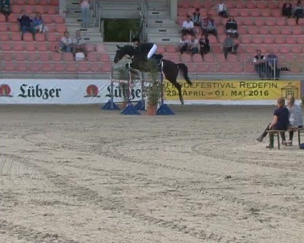 Reitturnier Redefin 2015