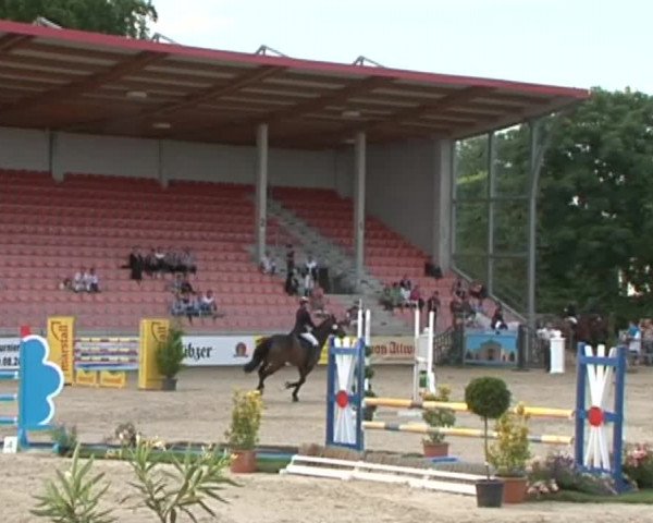 Reitturnier Redefin 2015