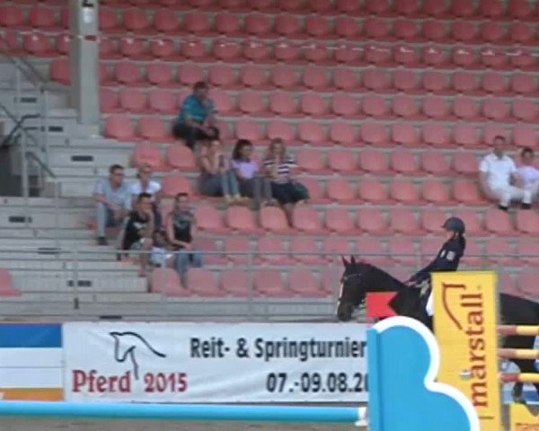 Reitturnier Redefin 2015
