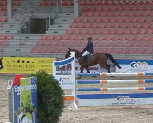 Reitturnier Redefin 2015