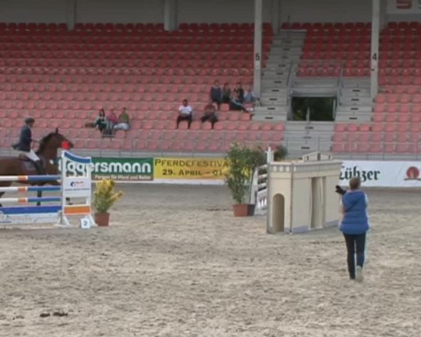 Reitturnier Redefin 2015