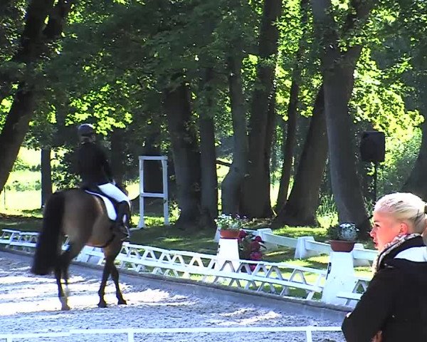 Reitturnier Redefin 2015