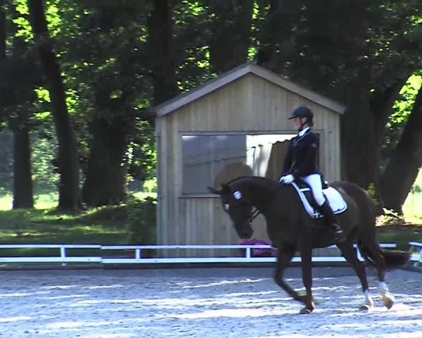 Reitturnier Redefin 2015