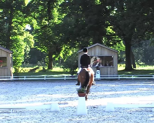 Reitturnier Redefin 2015