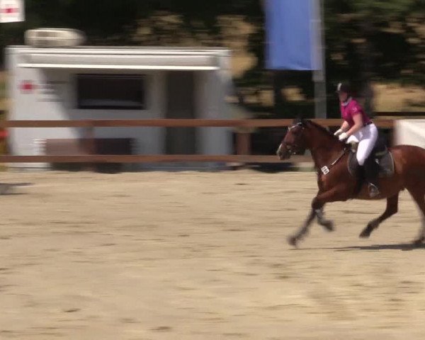 Reitturnier Münster-Roxel 2015