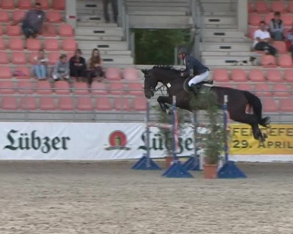 Reitturnier Redefin 2015