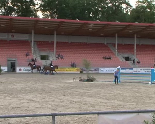 Reitturnier Redefin 2015