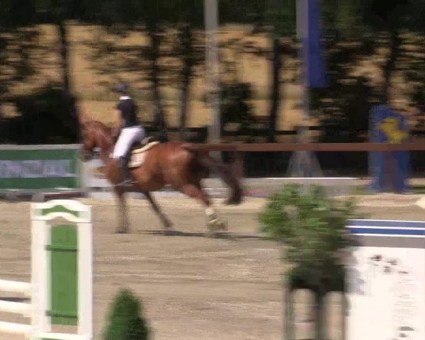 Reitturnier Münster-Roxel 2015