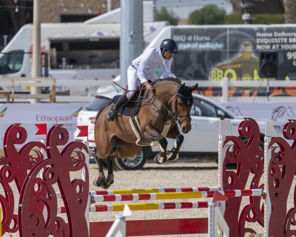 jumper Camp de Mar (Hanoverian, 2014, from Cent 15)