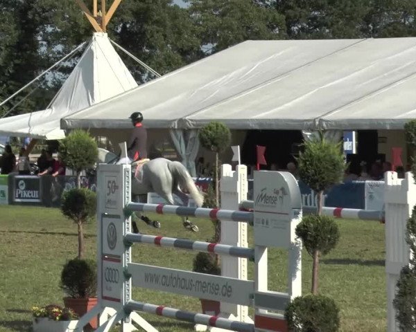 FEI Reitturnier Steinhagen (GER) 2015