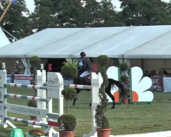 FEI Reitturnier Steinhagen (GER) 2015