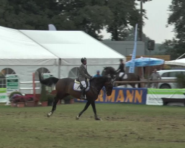 FEI Reitturnier Steinhagen (GER) 2015
