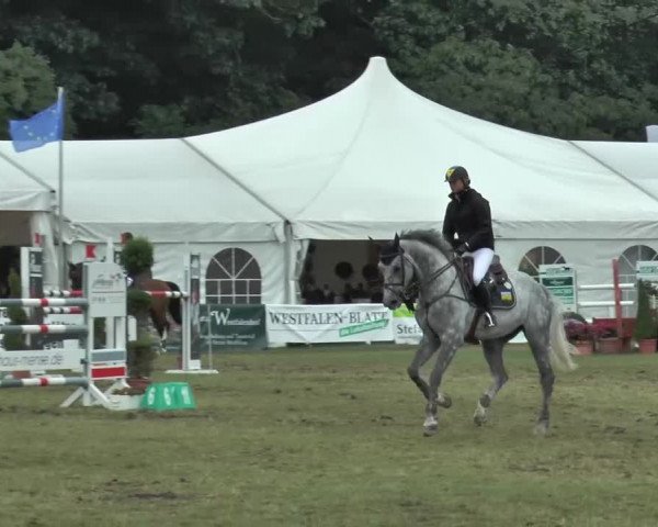 FEI Reitturnier Steinhagen (GER) 2015