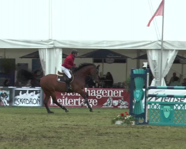 FEI Reitturnier Steinhagen (GER) 2015