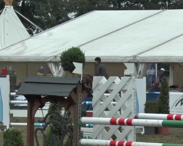 FEI Reitturnier Steinhagen (GER) 2015