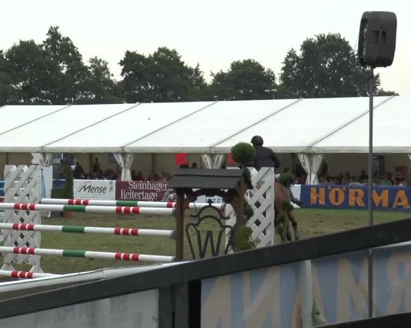 FEI Reitturnier Steinhagen (GER) 2015