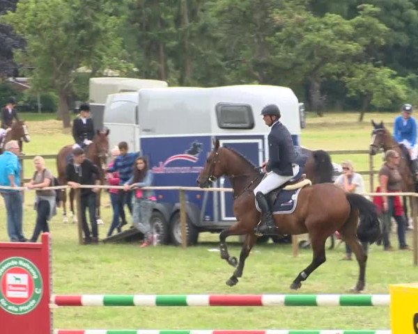 Reitturnier Ahlhorn 2015