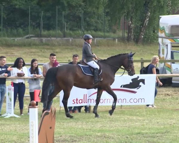 Reitturnier Ahlhorn 2015