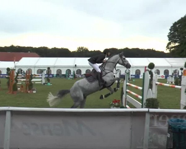 FEI Reitturnier Steinhagen (GER) 2015