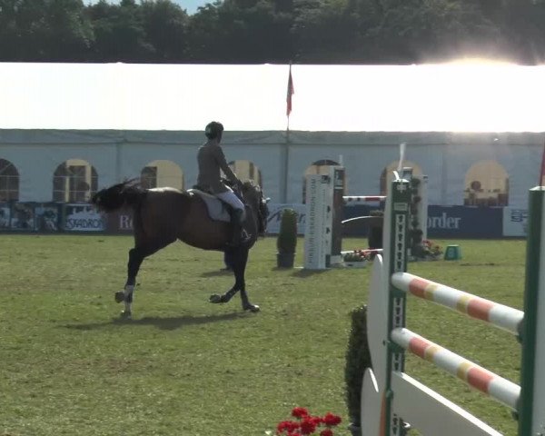 FEI Reitturnier Steinhagen (GER) 2015