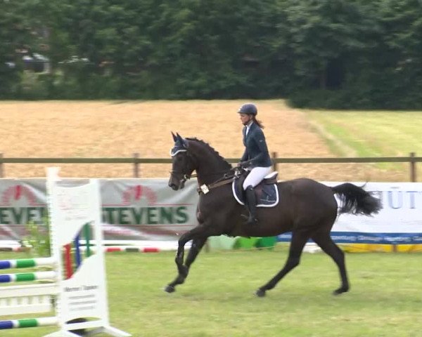 Reitturnier Ahlhorn 2015