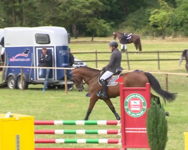 Reitturnier Ahlhorn 2015