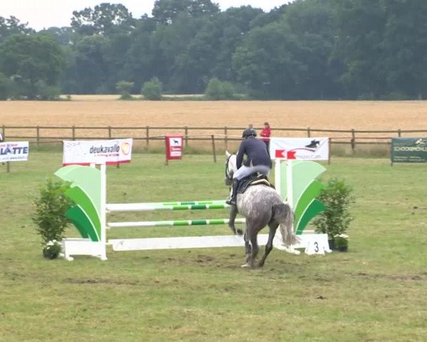 Reitturnier Ahlhorn 2015