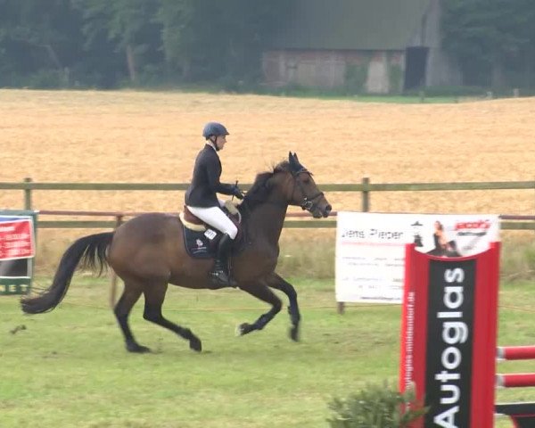 Reitturnier Ahlhorn 2015
