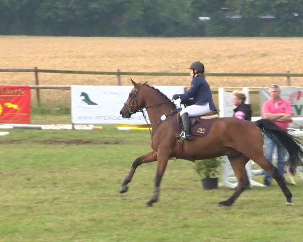 Reitturnier Ahlhorn 2015