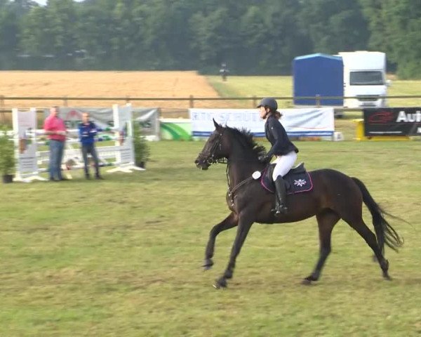 Reitturnier Ahlhorn 2015