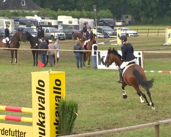 Reitturnier Ahlhorn 2015