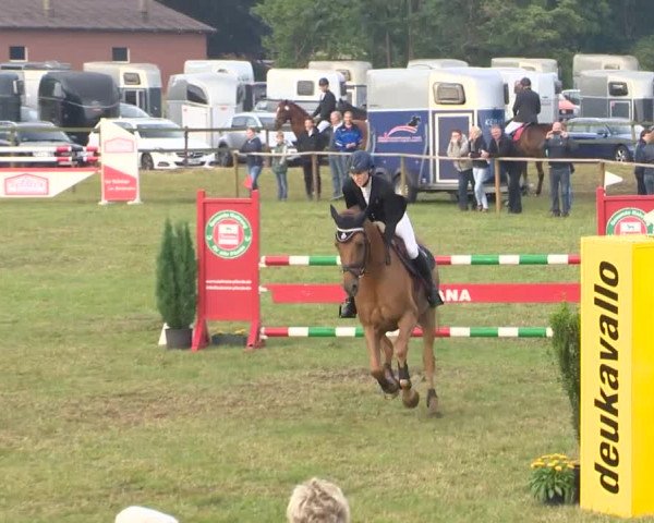 Reitturnier Ahlhorn 2015