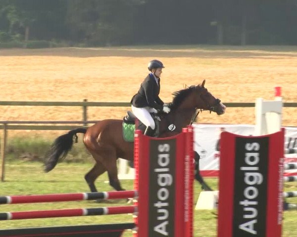Reitturnier Ahlhorn 2015