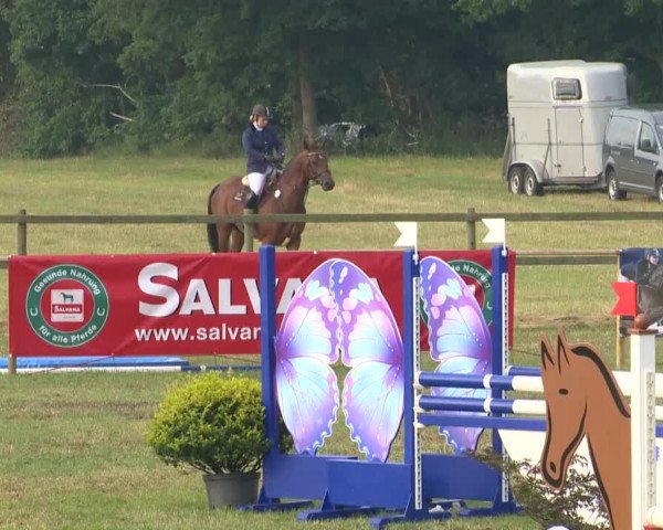 Reitturnier Ahlhorn 2015