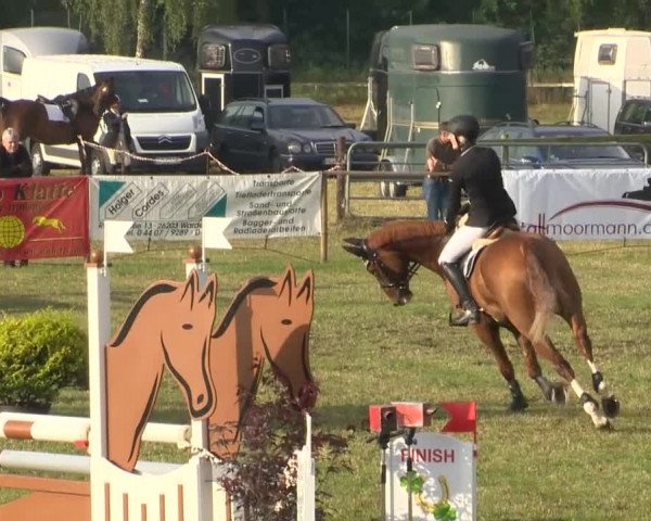 Reitturnier Ahlhorn 2015