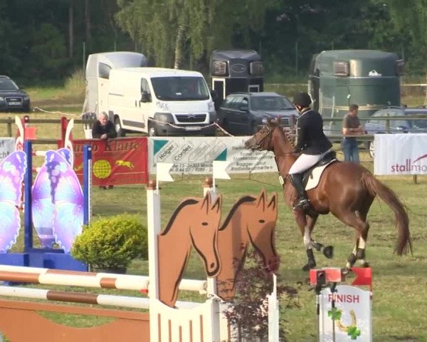 Reitturnier Ahlhorn 2015
