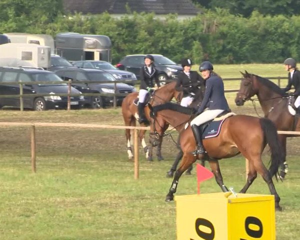 Reitturnier Ahlhorn 2015