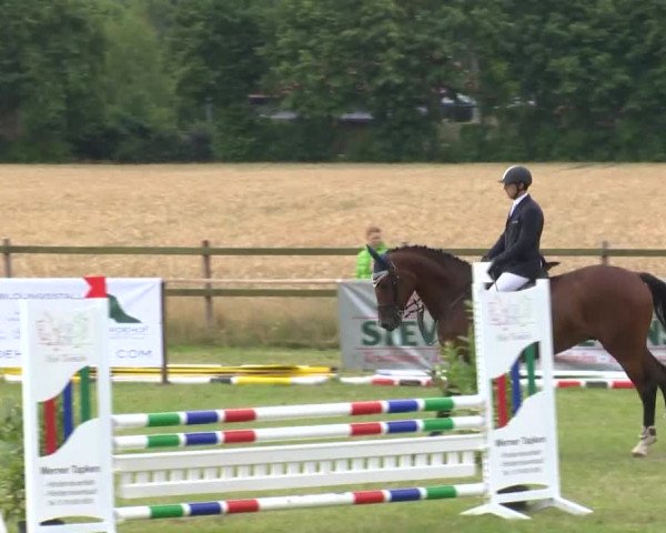 Reitturnier Ahlhorn 2015