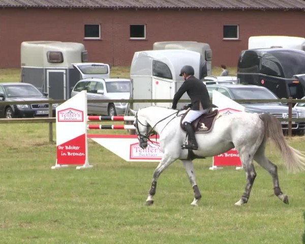 Reitturnier Ahlhorn 2015