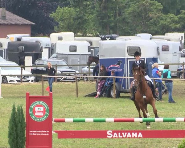 Reitturnier Ahlhorn 2015