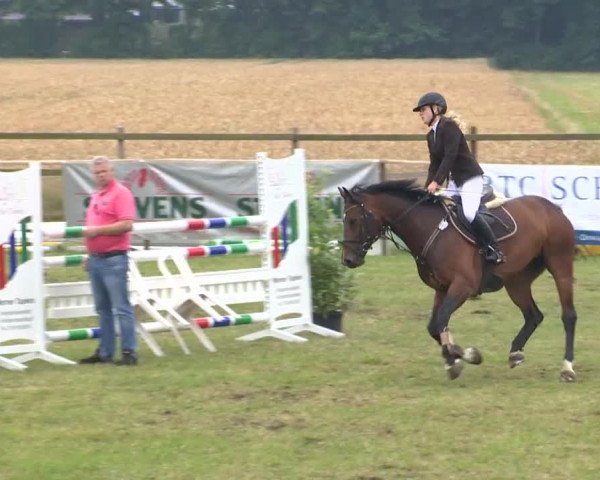 Reitturnier Ahlhorn 2015