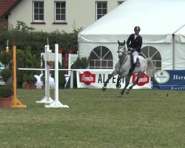 FEI Reitturnier Steinhagen (GER) 2015