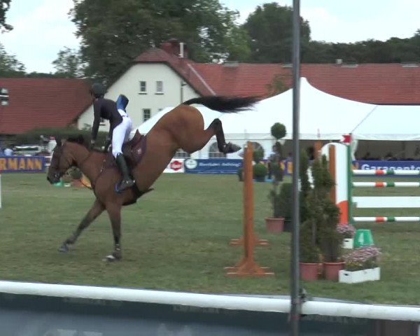 FEI Reitturnier Steinhagen (GER) 2015