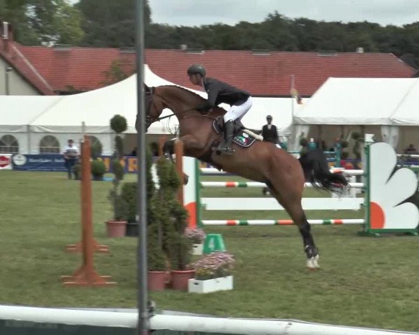 FEI Reitturnier Steinhagen (GER) 2015