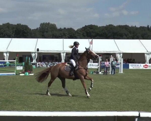 FEI Reitturnier Steinhagen (GER) 2015
