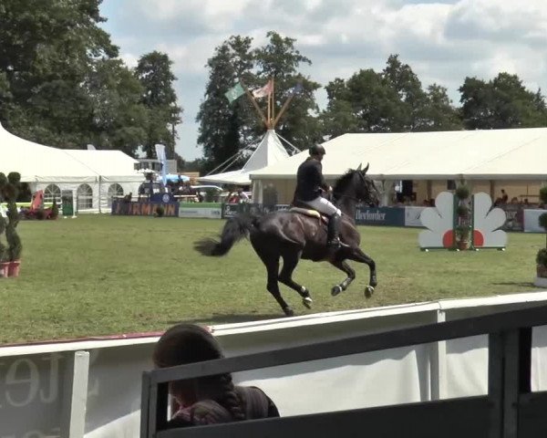 FEI Reitturnier Steinhagen (GER) 2015